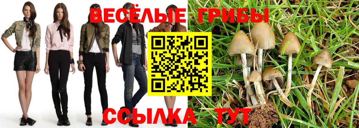 Псилоцибиновые грибы GOLDEN TEACHER  Вход с VPN  Конаково 